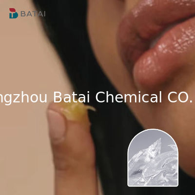 BT9301 Gel élastomère d'organosilicone polyméthyl siloxane poudre élastique en liaison croisée pour produits chimiques quotidiens pour la chaîne de carbone CAS